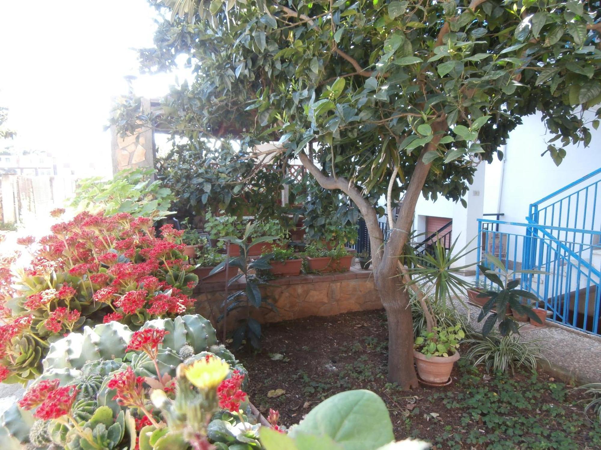 Busalacchi B&B Mondello Exterior photo